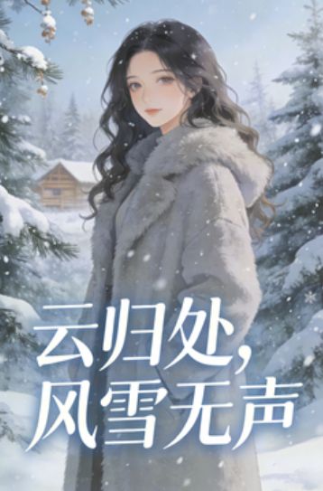 雲歸處，風雪無聲