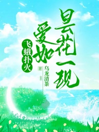飛蛾撲火，愛如曇花一現