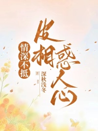 情深不抵，皮相惑人心