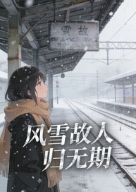 風雪故人歸無期