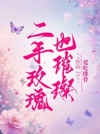 二手玫瑰也璀璨