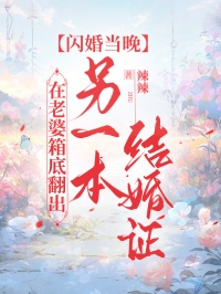 閃婚當晚，在老婆箱底翻出另一本結婚證