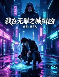 我在無罪之城緝凶