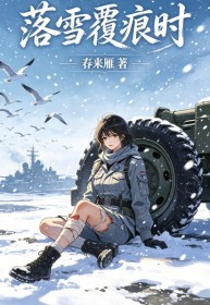 落雪覆痕時