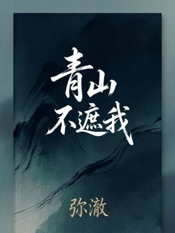 青山不遮我