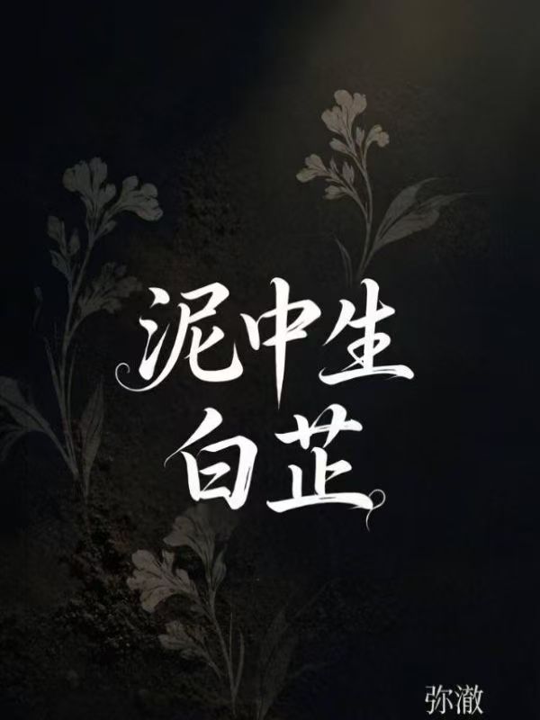 泥中生白芷