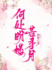 何處明樓苦尋月