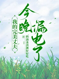 我的完美丈夫，今晚漏電了