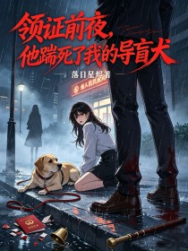領證前夜，他踹死了我的導盲犬