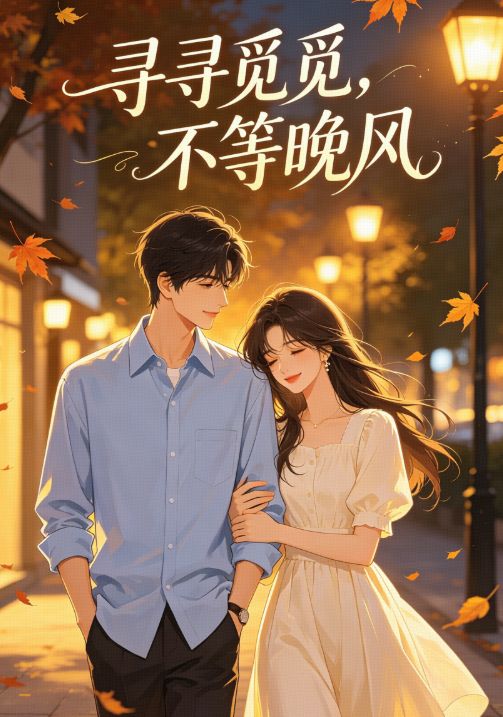尋尋覓覓，不等晚風