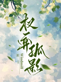 權弈孤影