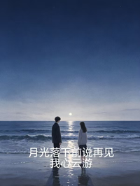 月光落下前說再見