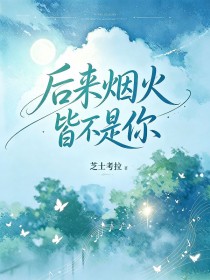 後來煙火皆不是你