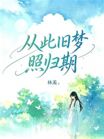 從此舊夢照歸期
