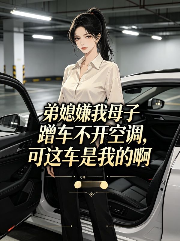 弟媳嫌我母子蹭車不開空調，可這車是我的啊