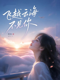 飛越雲海不見你