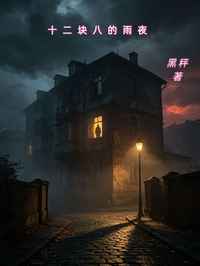 十二塊八的雨夜