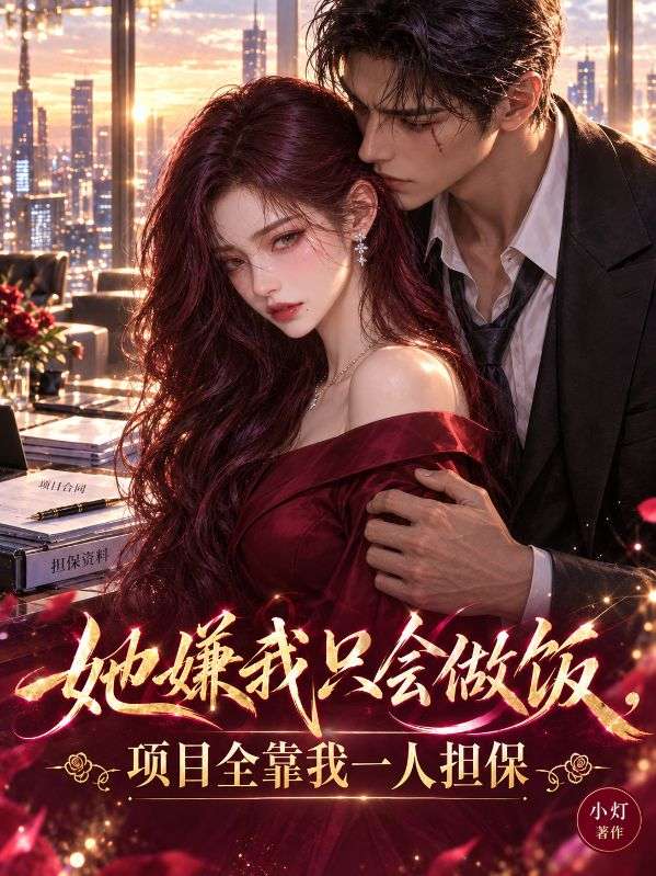 她嫌我隻會做飯，項目全靠我一人擔保