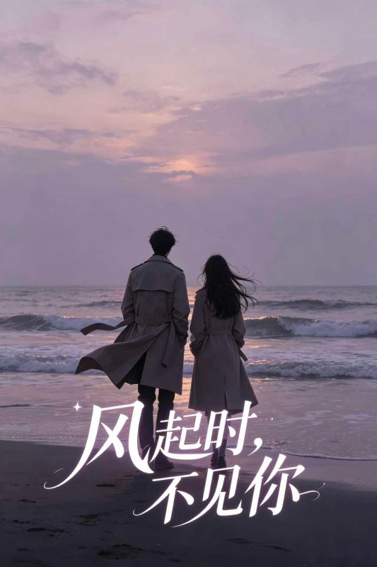 風起時，不見你