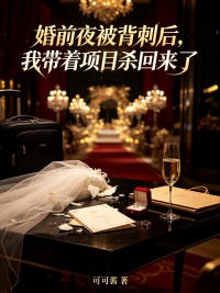 婚前夜被背刺後，我帶著項目殺回來了