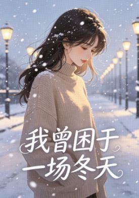 我曾困於一場冬天