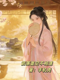 箭落壺空不相逢