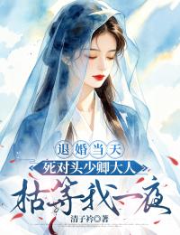 退婚當天，死對頭少卿大人枯等我一夜