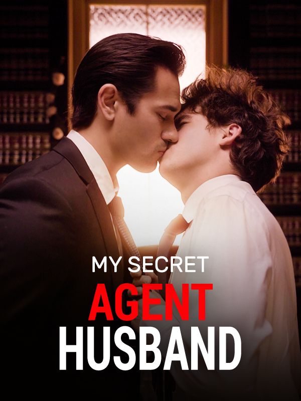 My Secret Agent Husband